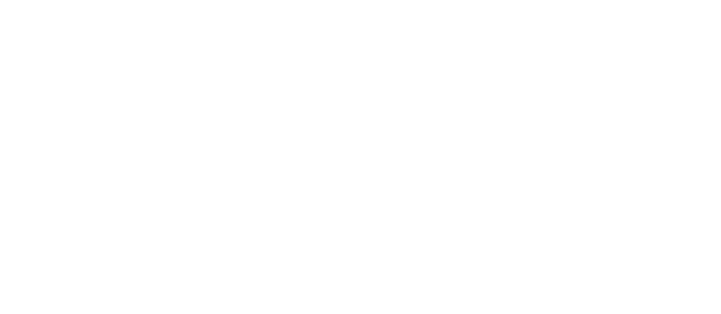 ORLEN VC